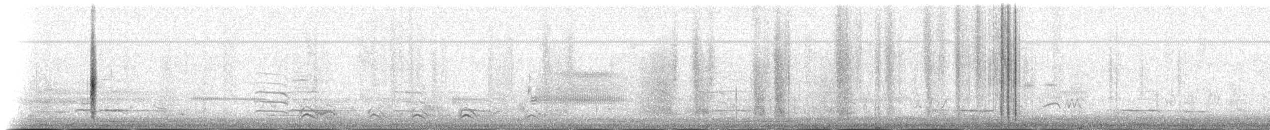 Carouge à épaulettes (groupe phoeniceus) - ML27018511