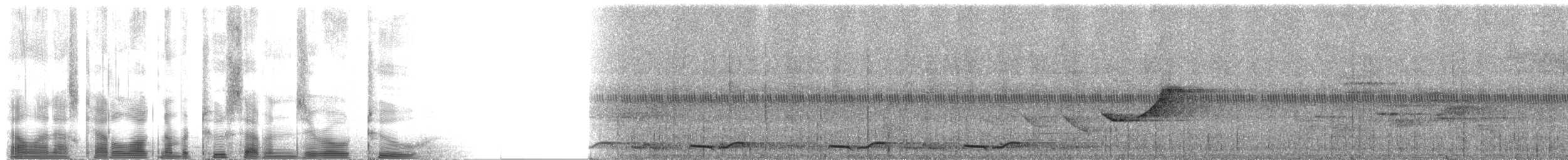 Spotted Wood-Quail - ML2702