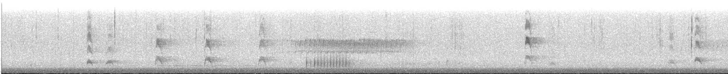 Red-cockaded Woodpecker - ML270202141