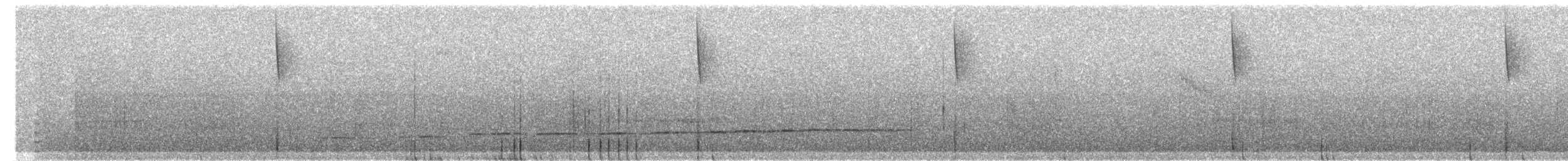 Colibri flavescent - ML270210631