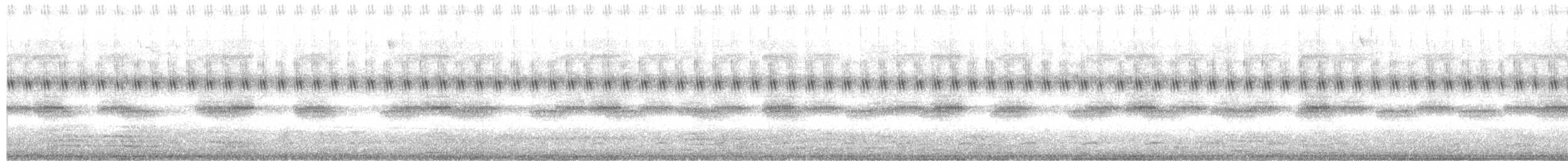 Brasilzwergkauz - ML270264631