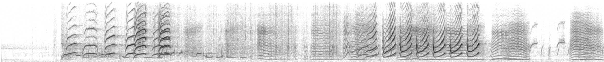 Méliphage à oreillons noirs - ML27029521