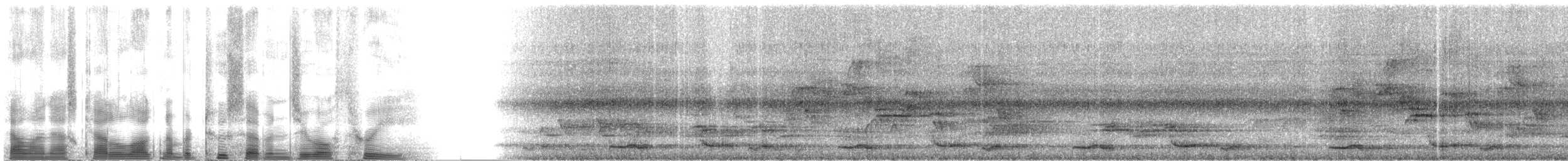 Spotted Wood-Quail - ML2703