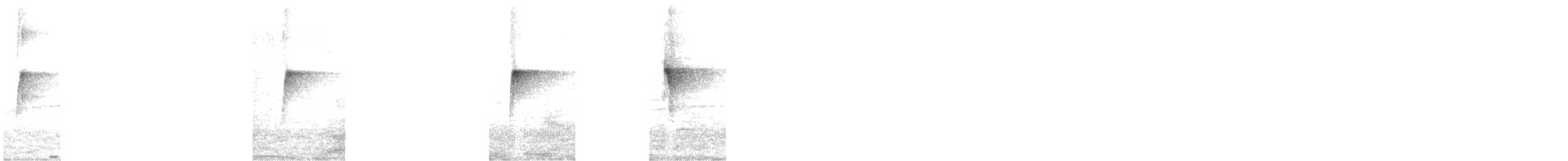 Yellow-olive Flatbill (Yellow-olive) - ML270304051