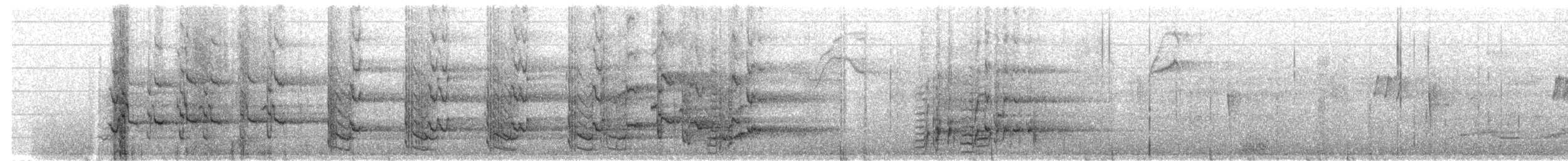 Amazone à lores rouges ou A. lilacée - ML270309871