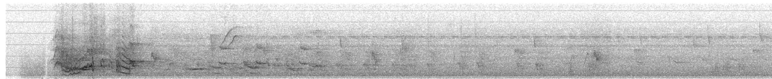 Amazone à lores rouges ou A. lilacée - ML270309911