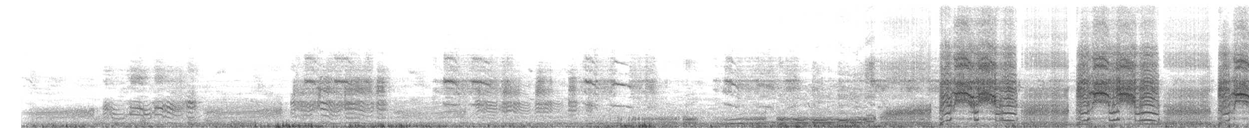 Short-tailed Shearwater - ML270350311