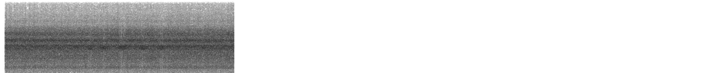 Mirlo Acuático Coroniblanco - ML270428011