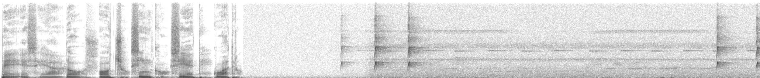 Microtyran casqué - ML270469