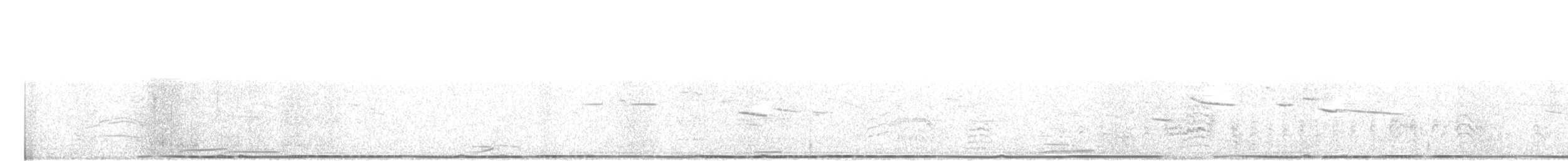 Gallo de las Praderas Grande - ML27048461