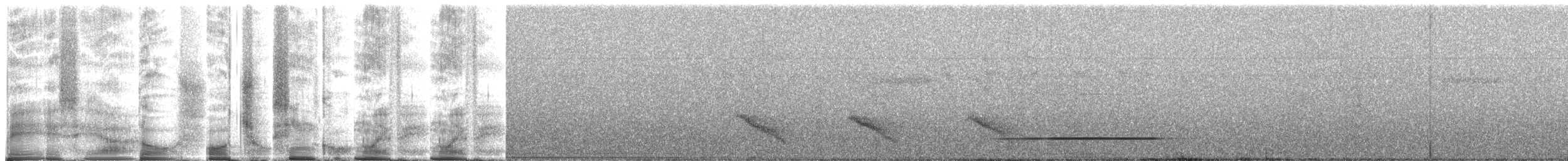 Шлемоносная чубатка - ML270494