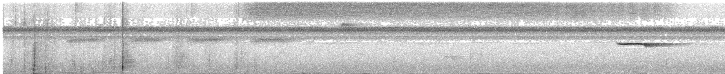 Berlepsch's Tinamou - ML270499831