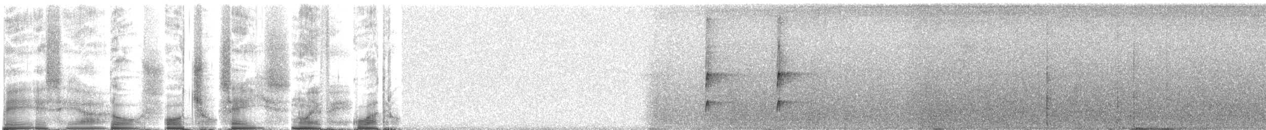 Шлемоносная чубатка - ML270586