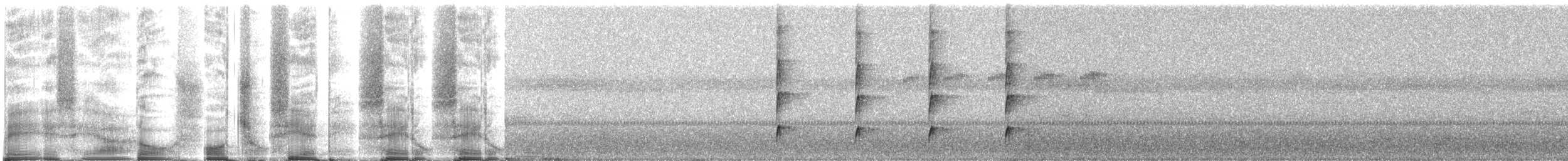 Microtyran casqué - ML270592