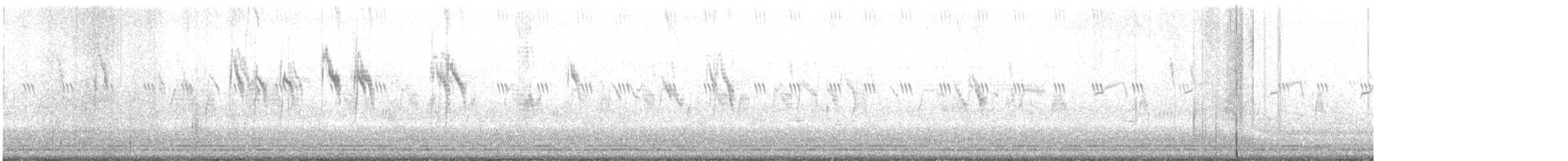 konipas východní (ssp. tschutschensis/plexa) - ML270633071