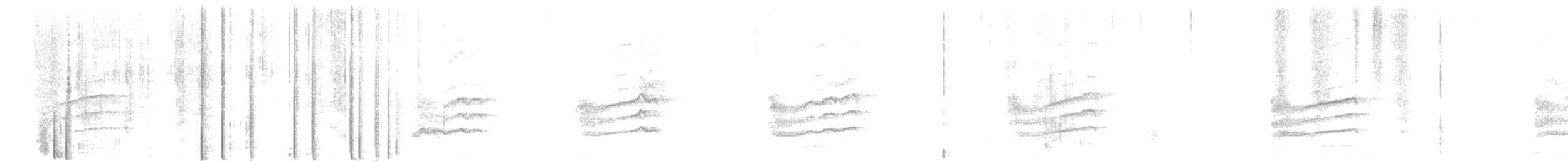 Тауї плямистий [група oregonus] - ML270637051