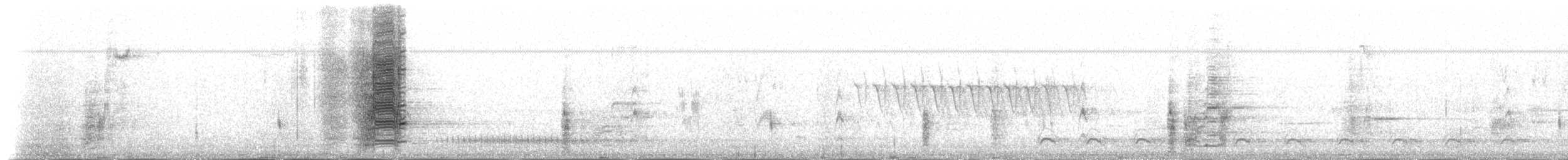 Гракл пурпуровошиїй (підвид versicolor) - ML27064211