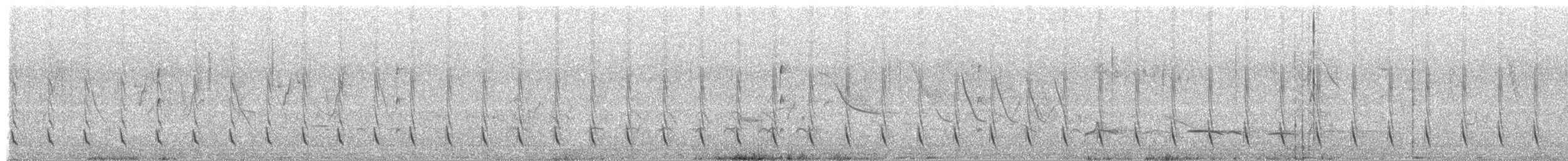 Marsh Tapaculo - ML270654071