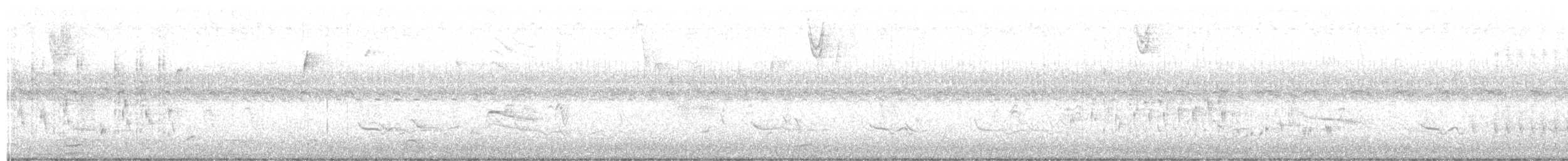 Marsh Wren - ML270697231