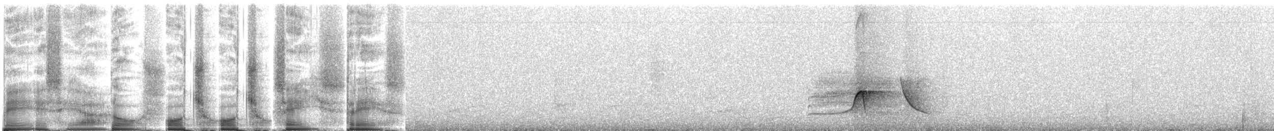 Планідера світлочерева - ML270754