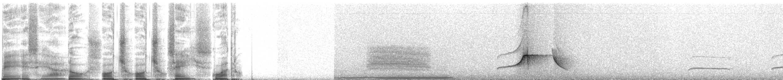 Светлобрюхий тиранн-плакса - ML270755