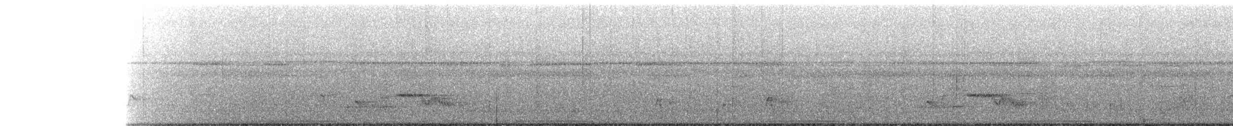 Spotted Buttonquail - ML270854481