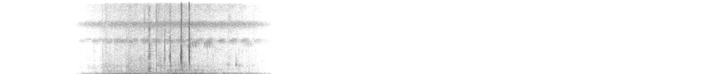 Spotted Buttonquail - ML270864821