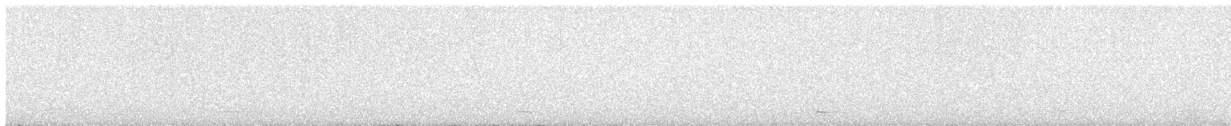 Common Scoter - ML270872451