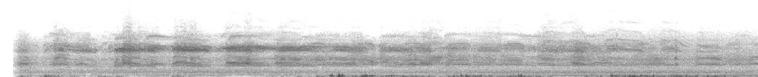 Mouette argentée (novaehollandiae/forsteri) - ML270874861