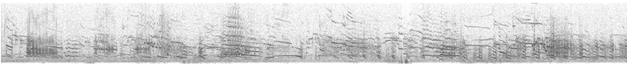 Lesser Black-backed Gull - ML270876761