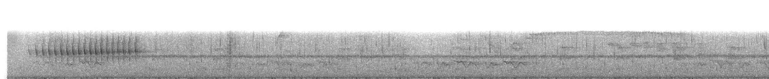 Dusky-tailed Antbird - ML270896591