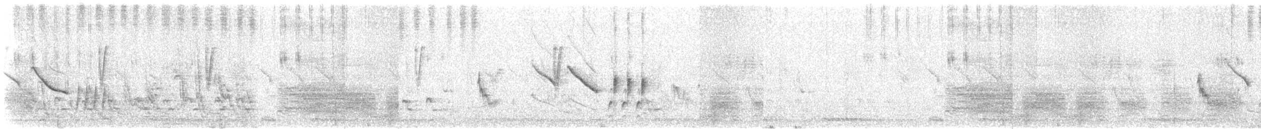 Cisticole grinçante - ML270945291