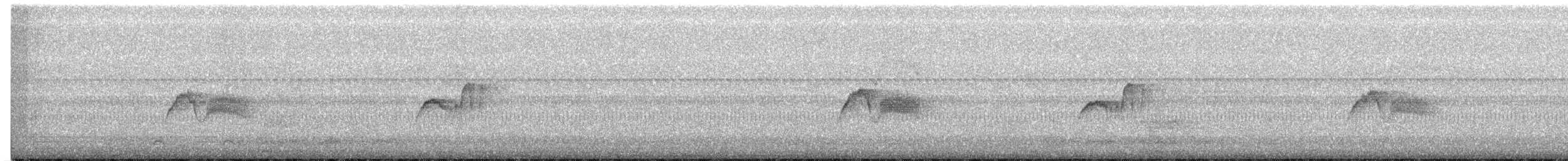 Eastern Phoebe - ML270960901