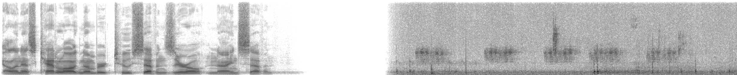 Northern Yellow Warbler - ML27097