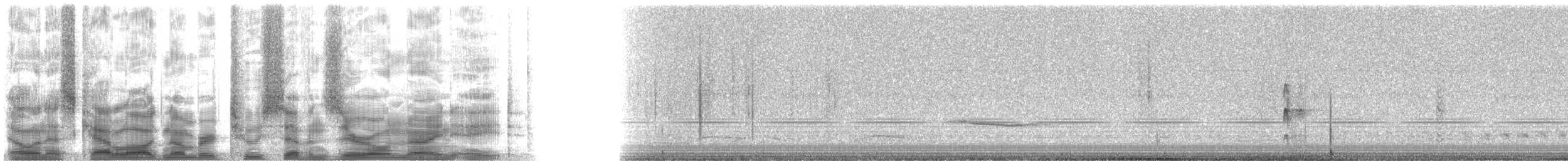 Ash-throated Flycatcher - ML27098