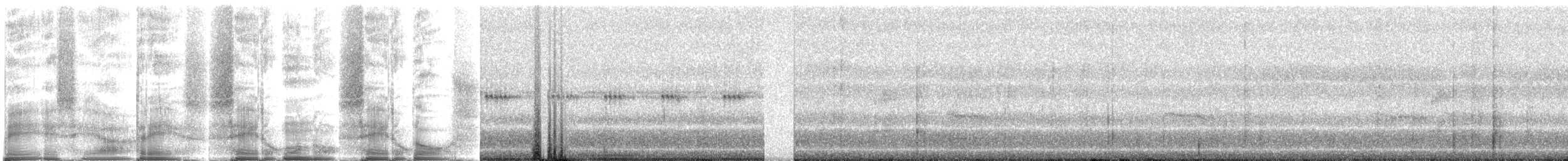 Saffron-headed Parrot - ML270984