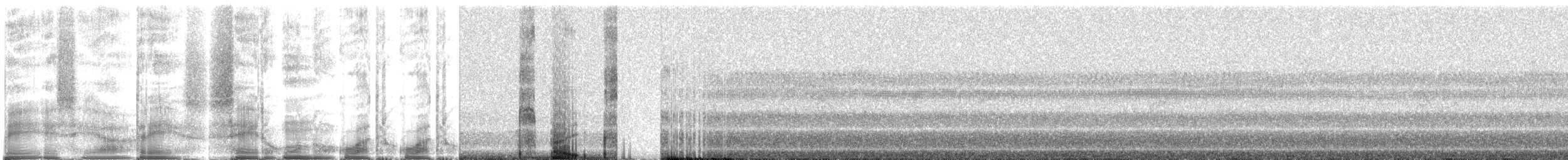 Saffron-headed Parrot - ML271026