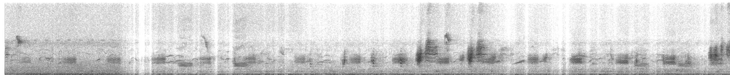 Clamorous Reed Warbler - ML27105381
