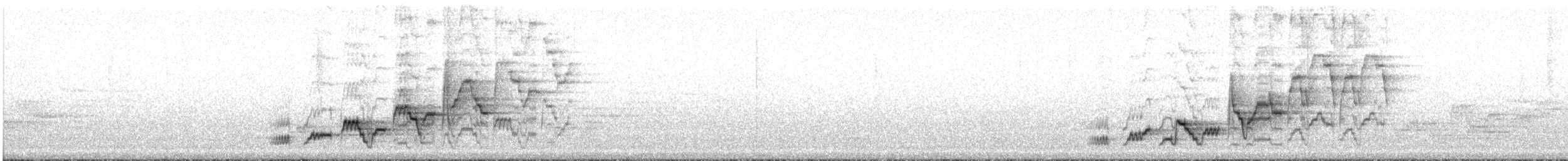 Дрізд-короткодзьоб Cвенсона - ML27109171