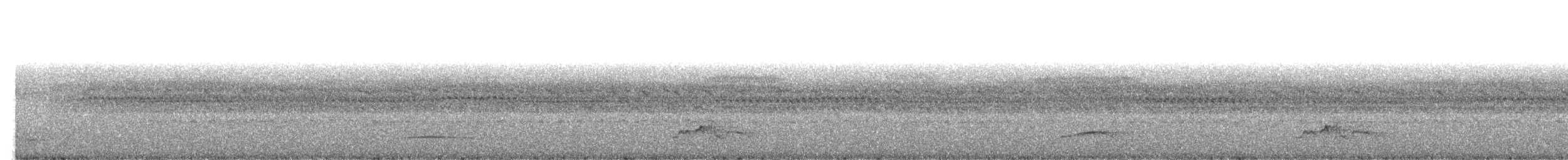 Copetón de Swainson - ML271124051