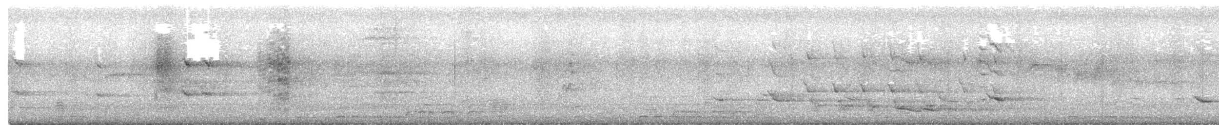 holoubek vlnkovaný - ML271144051