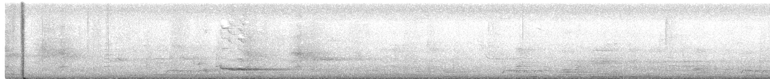 holoubek vlnkovaný - ML271144061