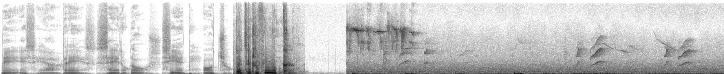 maskeblomsterborer - ML271159