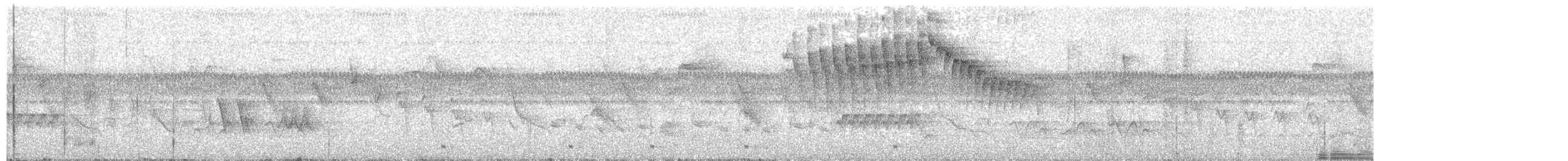 White-spotted Woodpecker - ML271328371