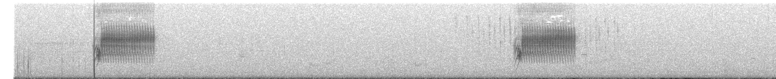 Тауї плямистий - ML271415481