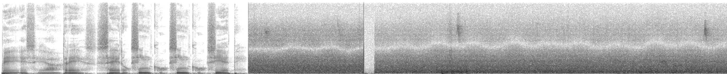 Schwarznackentangare - ML271437