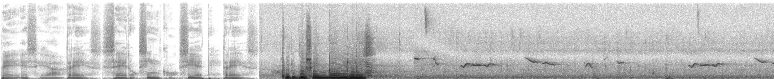 Schwarzschnabeldrossel - ML271453