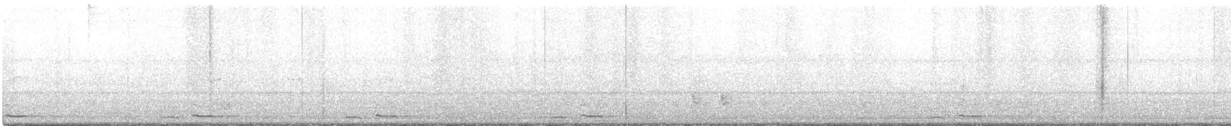 Streifenbartvogel - ML271507721