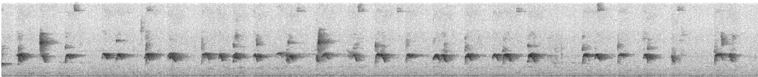 Troglodyte coraya - ML271550621