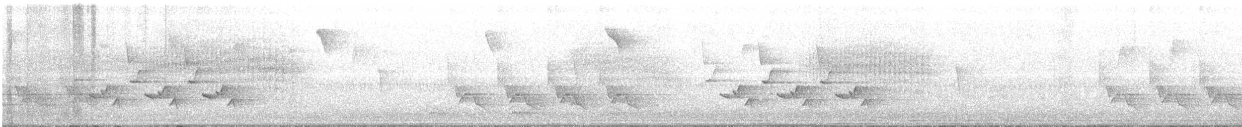 Carolina Wren - ML271565381